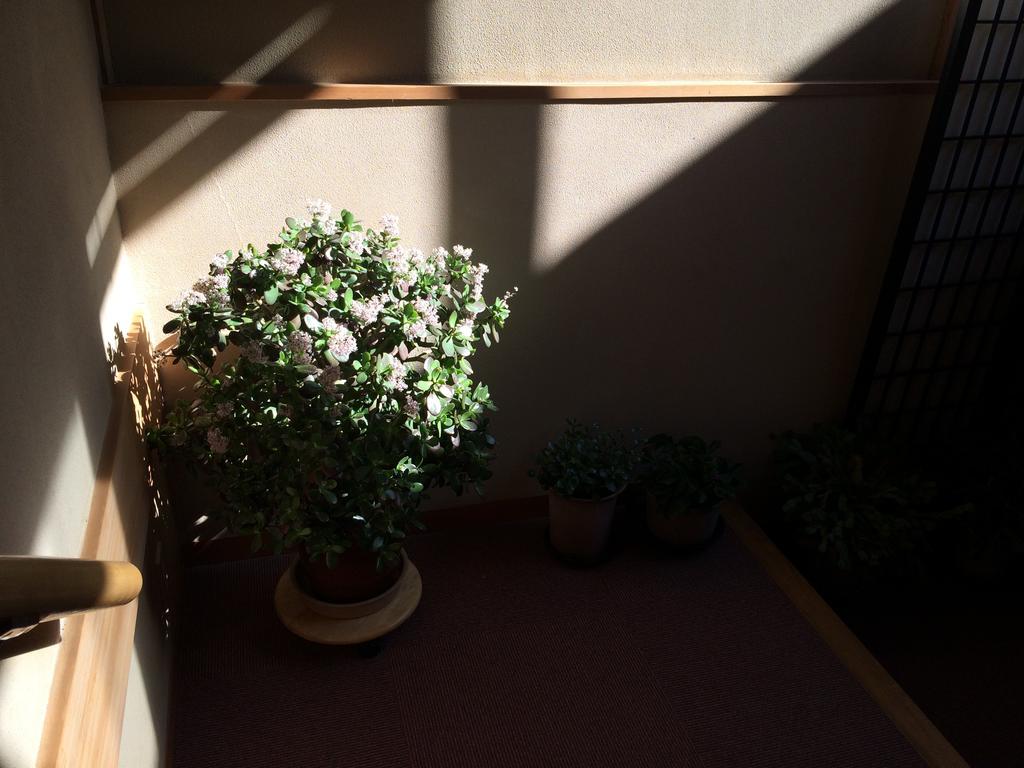 Yudanaka Onsen Yamazakiya Ξενοδοχείο Yamanouchi  Εξωτερικό φωτογραφία